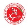 Shahr Khodro F.C